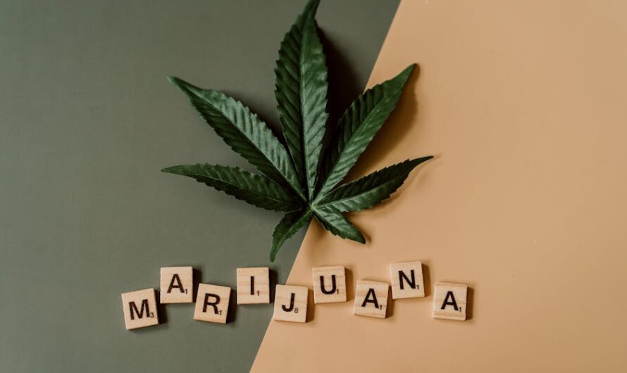 Купить амфетамин и ЛСД онлайн без рецепта