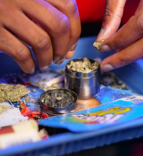 Конопля посевная — описание и применение