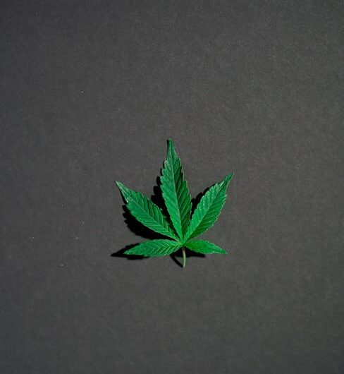 Купить гашиш онлайн безопасно и легально