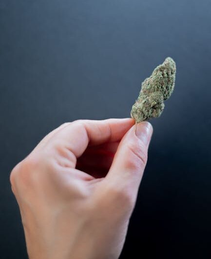 Кодеин содержащие препараты и их применение в медицине