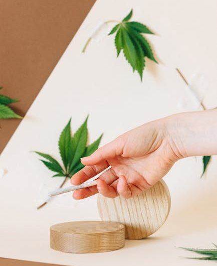 Конопляная одежда как часть устойчивой моды