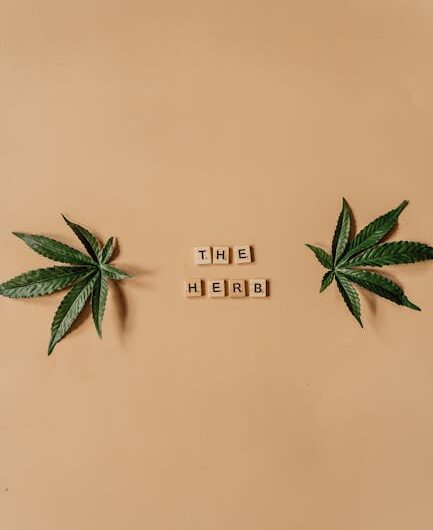 Купить гашиш онлайн через интернет магазины и телеграмм