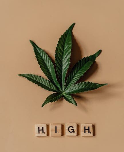 Спайс и его опасность для здоровья и жизни