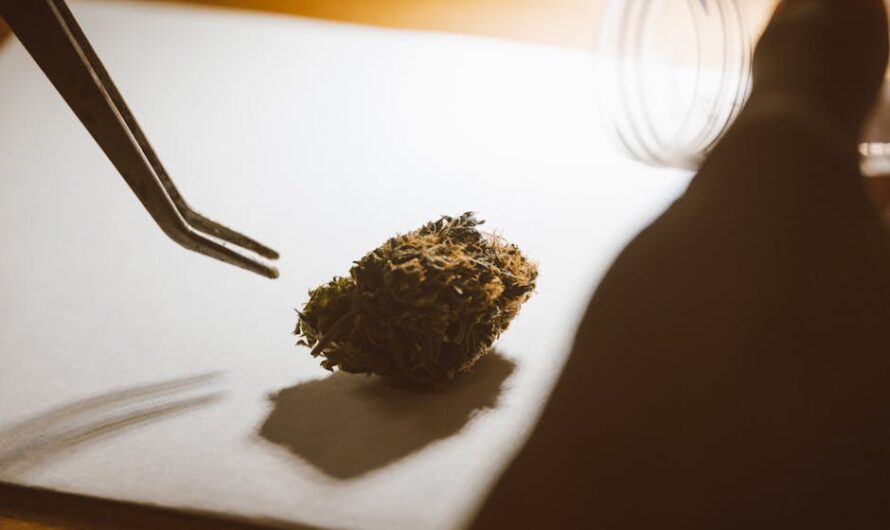 ЛСД марки свойства и параметры