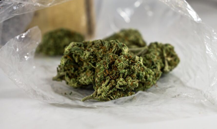 Семена конопли свойства и применение