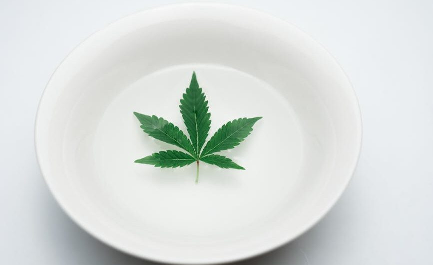 Покупка и доставка семян конопли почтой по России