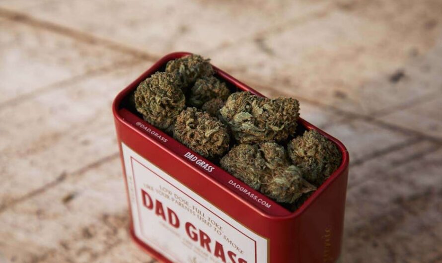 Покупка марихуаны в Барселоне