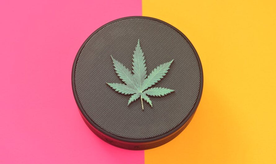 Выращивание конопли с нуля подготовка семян и уход за саженцами