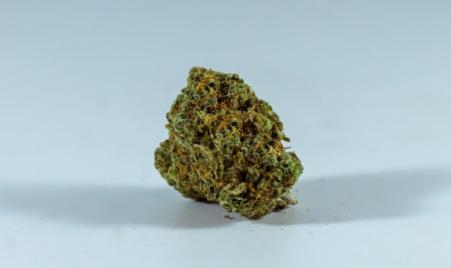 Автоцветущая конопля и ее преимущества для садоводов