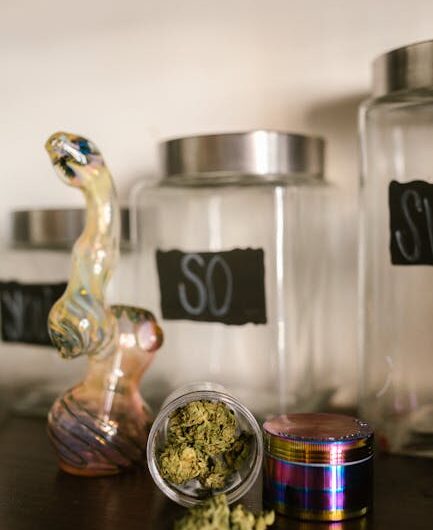 Выращивание конопли в домашних условиях пошаговое руководство