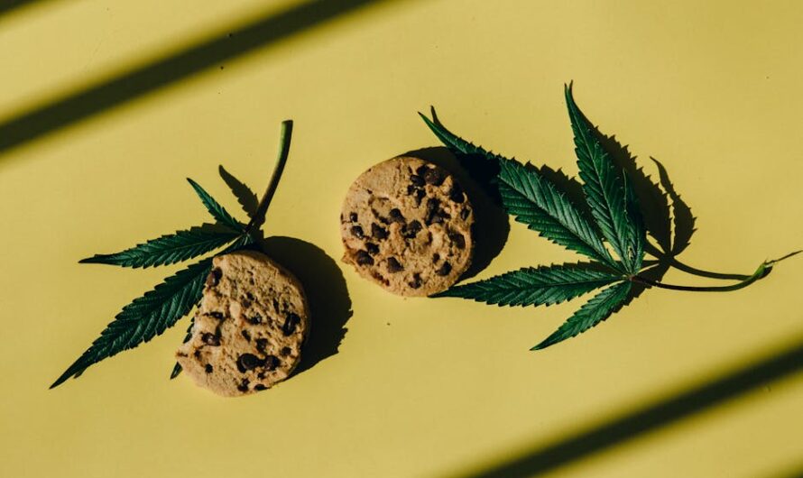 Героин описание и свойства наркотика