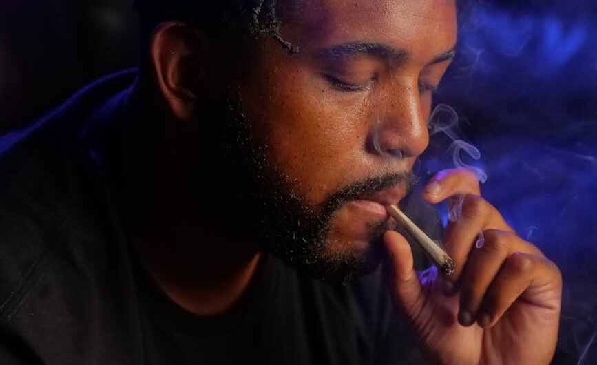 Свойства и применение конопляных семян