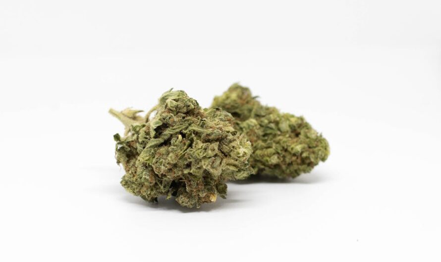 Где Лучше Заказывать Семена Марихуаны