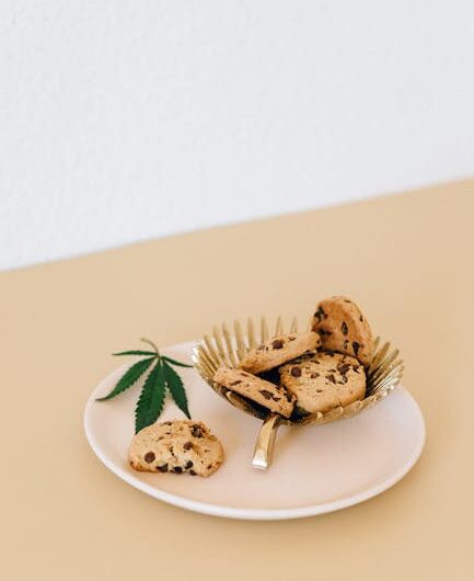 Конопля посевная — свойства и применение