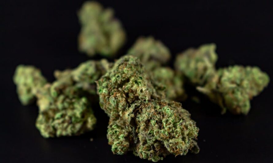 Синтетические наркотики и их свойства