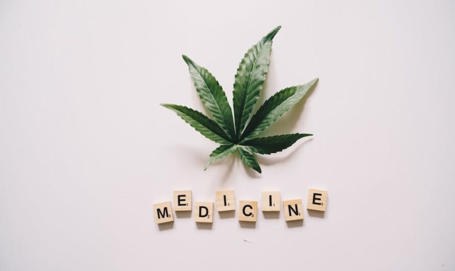 Конопля и ее семена в Ростове-на-Дону