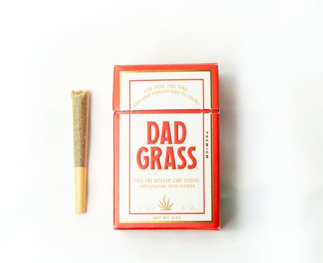 Хранение семян конопли в домашних условиях