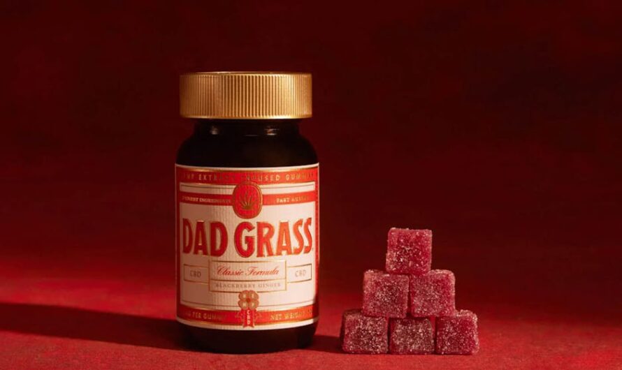 Голландские семена конопли характеристики и разнообразие сортов марихуаны