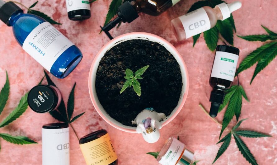 Кодеин содержащие препараты и их доступность в аптеках и онлайн