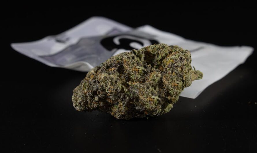 Семена конопли для рыбалки как эффективная прикормка