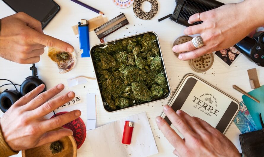 Семена конопли и их преимущества