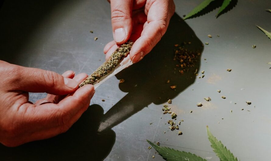 Наркозависимость в Чите: анализ проблемы и наркотических веществ