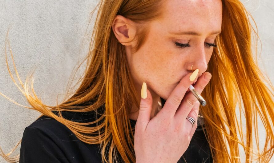 Семена конопли Shiva Skunk regular от Ganja Seeds Описание и характеристики