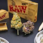 Проращивание семян марихуаны и создание оптимальных условий для их всхожести img-2114.jpg