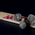 Хранение семян конопли: основные принципы и методы сохранения всхожести img-225.jpg