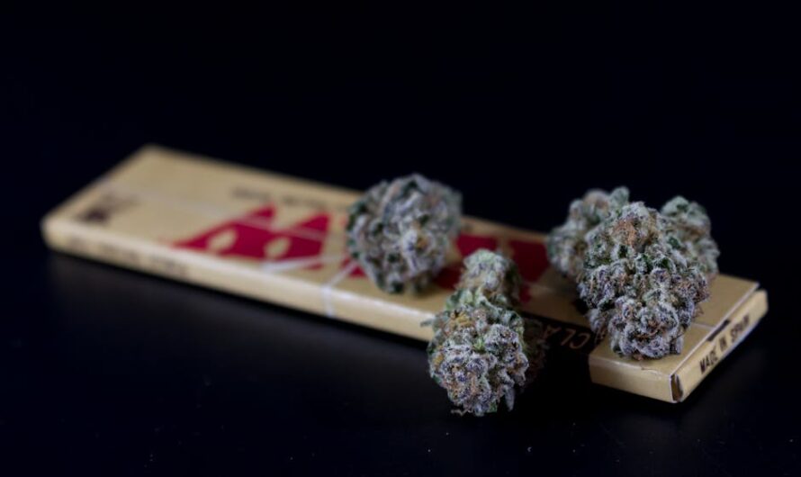 Хранение семян конопли: основные принципы и методы сохранения всхожести