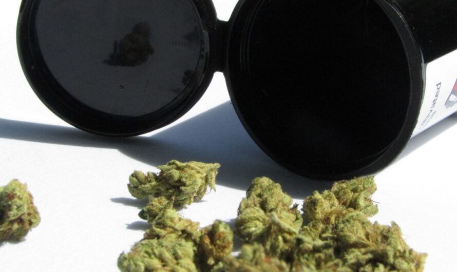 Соль наркотики и их последствия для здоровья