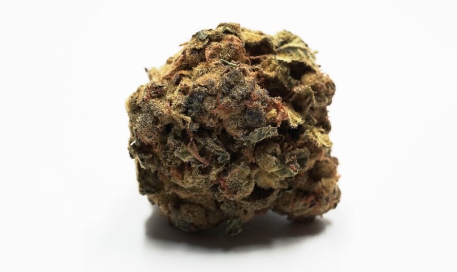 Полезные свойства конопли и ее применение