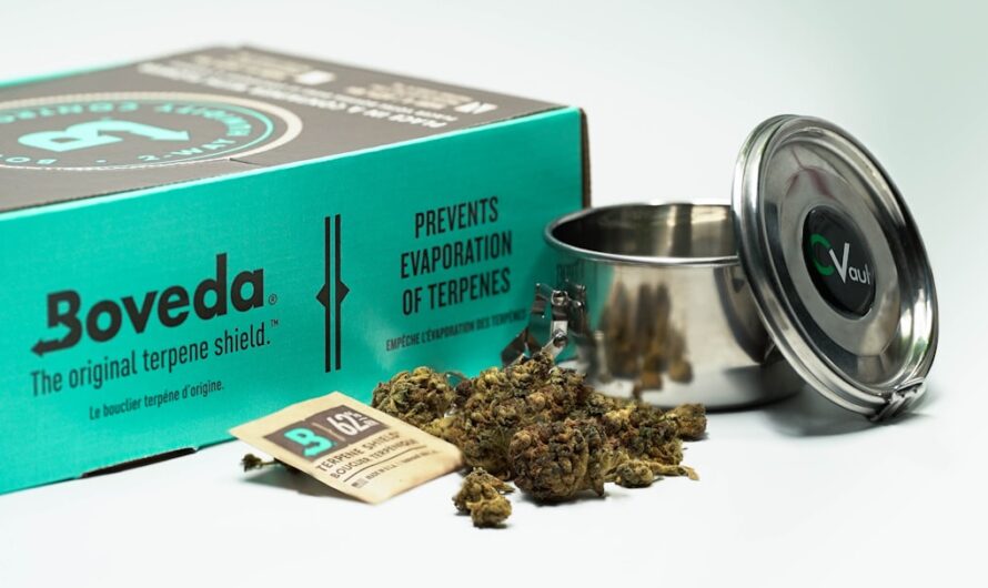 Спайс и его свойства