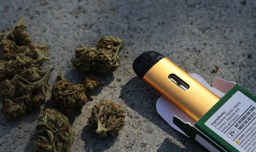 Автоцветущие сорта конопли и их преимущества