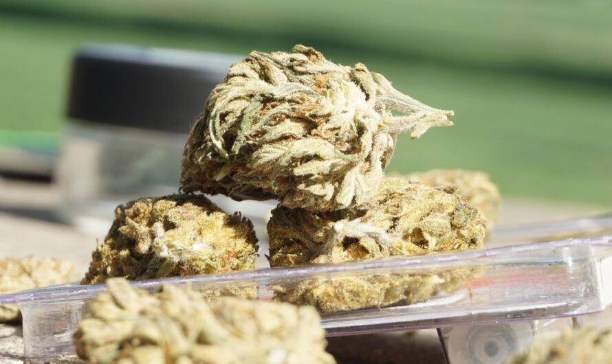 Продажа марихуаны в Москве