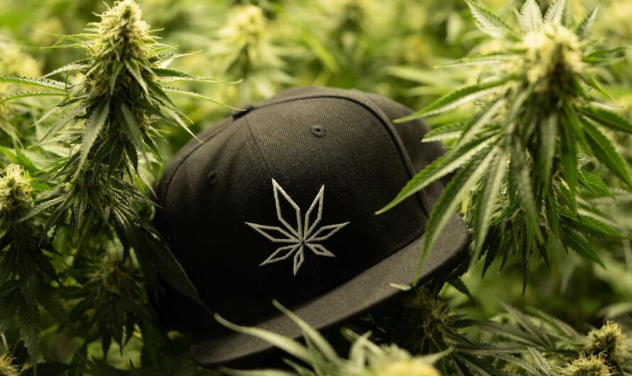 Проблемы наркоторговли в Волгограде