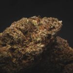 Техническая конопля свойства и выбор семян для выращивания img-2537.jpg