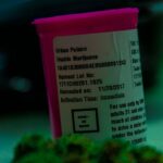 Покупка семян конопли в специализированном магазине img-2573.jpg