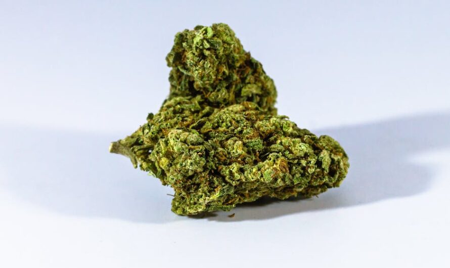 Спайсы и их влияние на психическое состояние человека