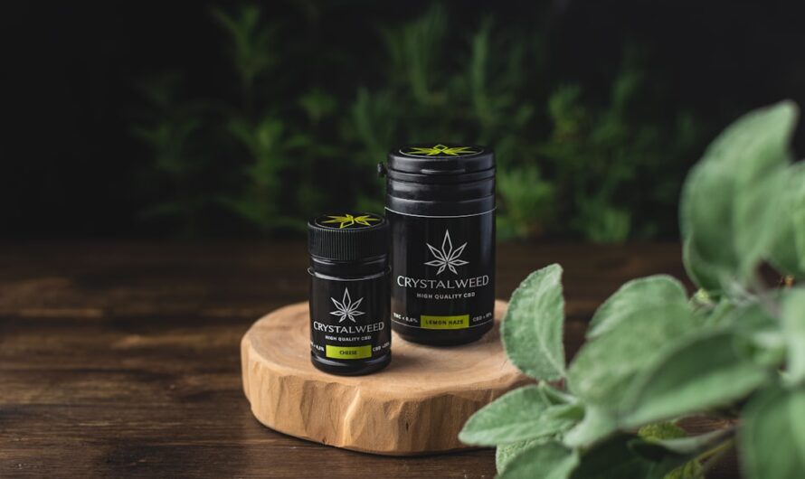 Кодеин и кодеин содержащие препараты в России