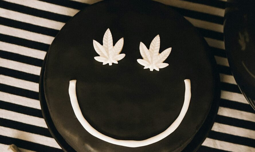 Конопляная индустрия в Украине и перспективы развития бизнеса