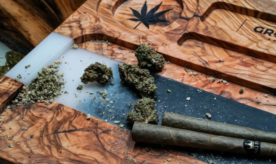 Размер семян конопли и его значение для урожайности