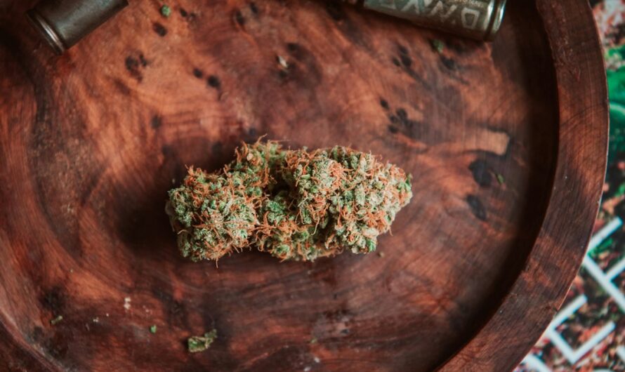 Семена конопли свойства и применение