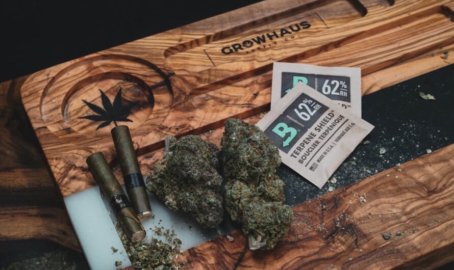 Как купить морфин легально и безопасно