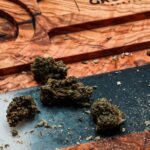 Семена конопли Auto Northern Lights x Haze feminised от Ganja Seeds img-2685.jpg