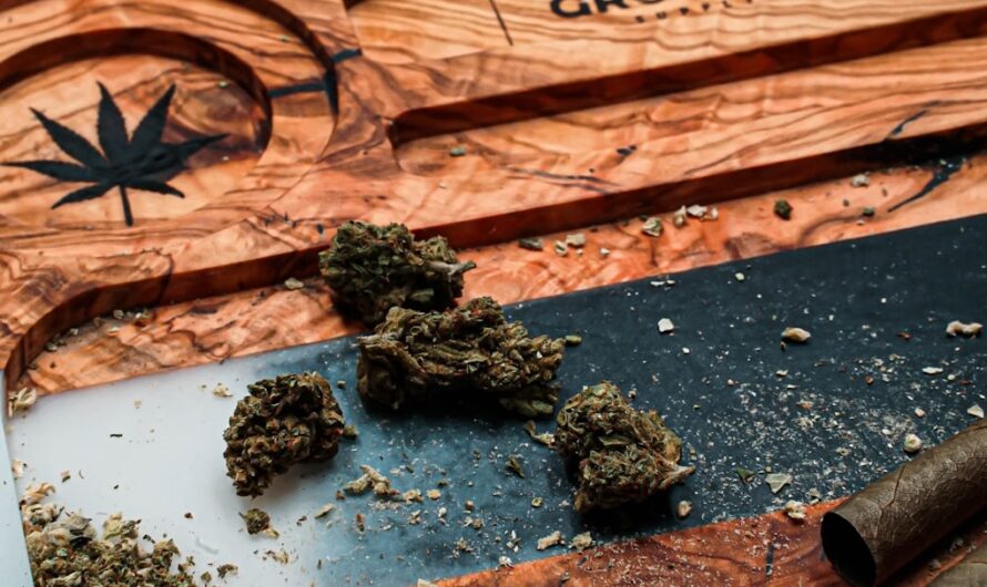 Семена конопли Auto Northern Lights x Haze feminised от Ganja Seeds