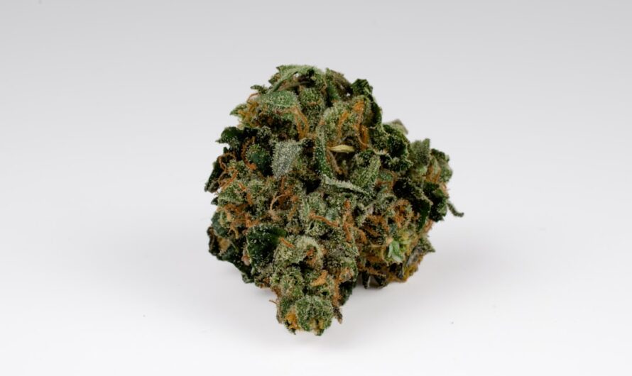 Купить марихуану в екатеринбурге