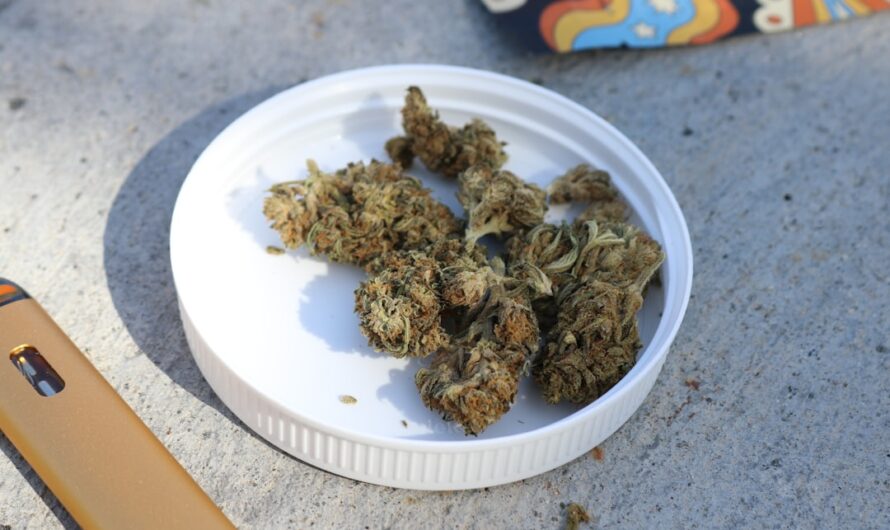 Автоцветущая конопля особенности и преимущества выращивания