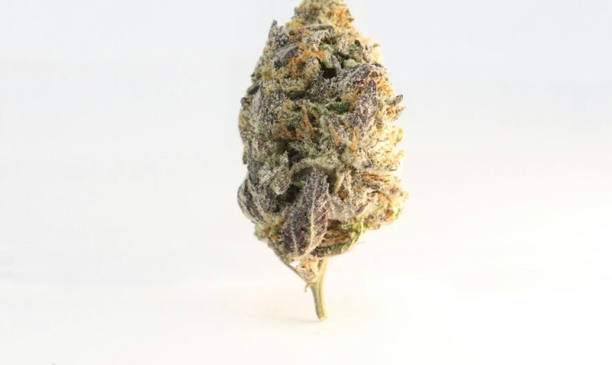 Наркотические марки и их характеристики