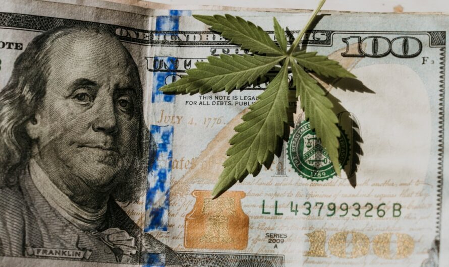 Купить марихуану онлайн безопасно и недорого